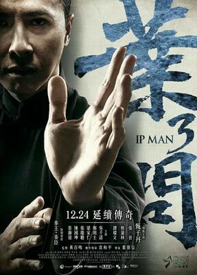 O Grande Mestre Ip Man Todos Dublado E Legendado